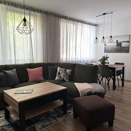 Apartman V Samorine Διαμέρισμα Εξωτερικό φωτογραφία